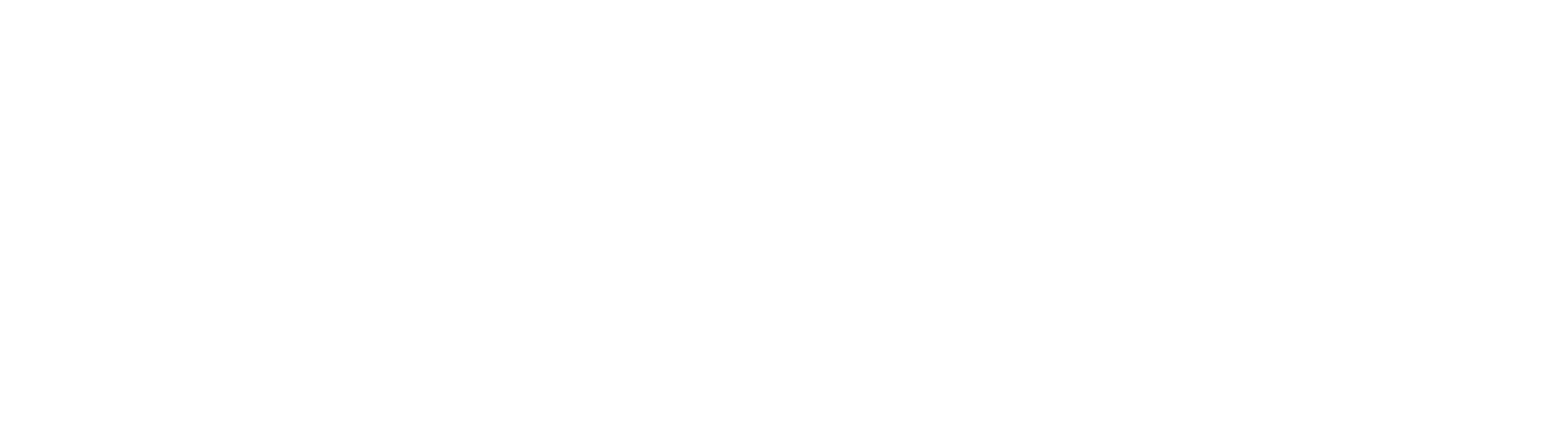 Polzin Financial tax strategy and wealth planning logo